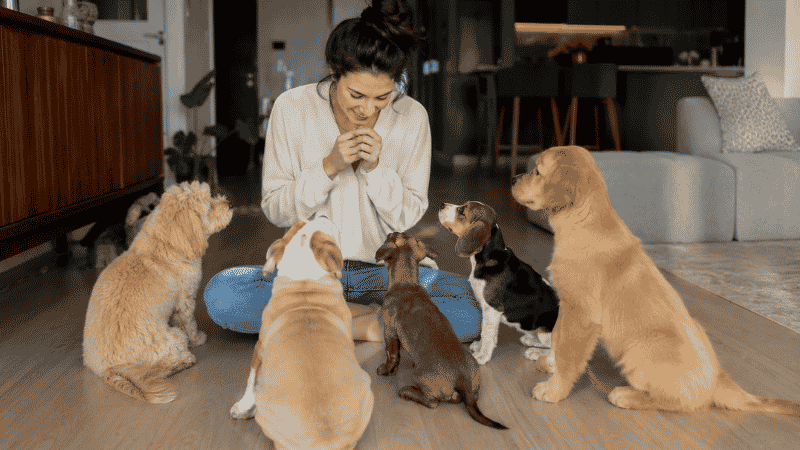A first-time dog owner sitting on her apartment floor surrounded by different puppy breeds, deciding which one is right for her