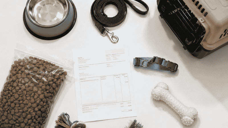 Flat lay of puppy ownership essentials including food, leash, collar, toys and vet paperwork representing the real first-year cost of owning a puppy