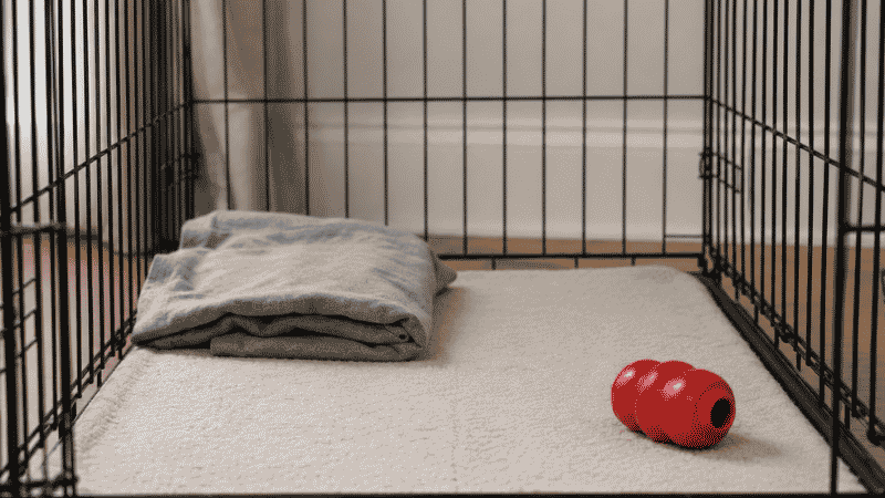 The correct minimal setup inside a puppy kennel showing a thin washable pad, an owner's worn t-shirt for comfort, and a Kong chew toy — nothing more