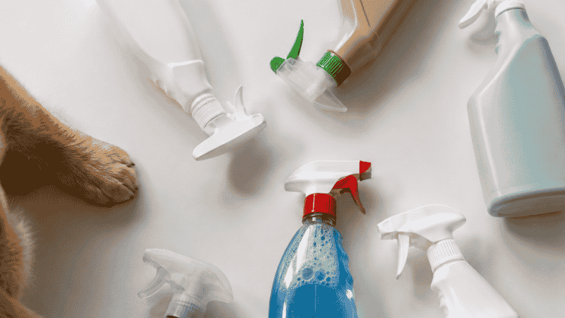 Common household cleaning spray bottles that may contain ingredients toxic to puppies, showing why pet owners need to audit their cleaning products