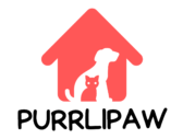 PurrliPaw