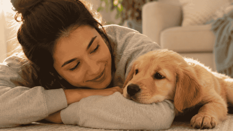 A puppy resting its chin gently on its owner's arm without biting, representing the calm and trusting relationship that consistent positive reinforcement training builds over time