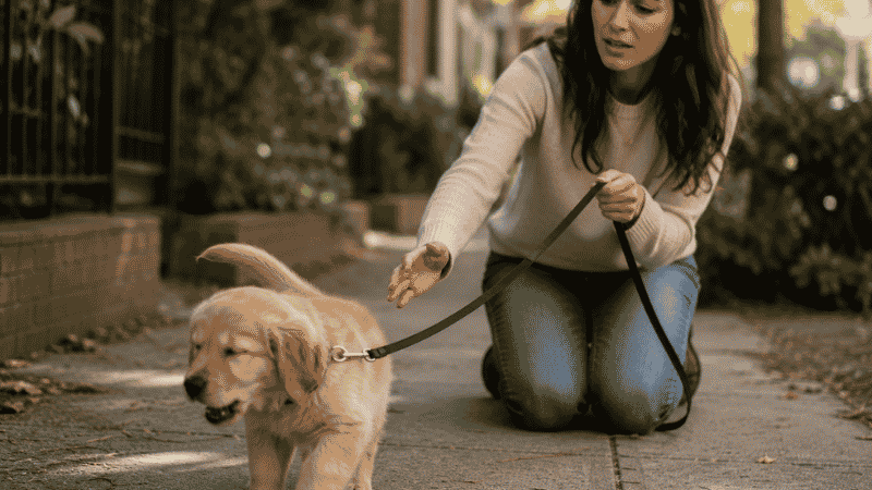 A first-time dog owner looking concerned as her puppy pulls on a collar during their first walk, illustrating why collar vs harness matters for puppies