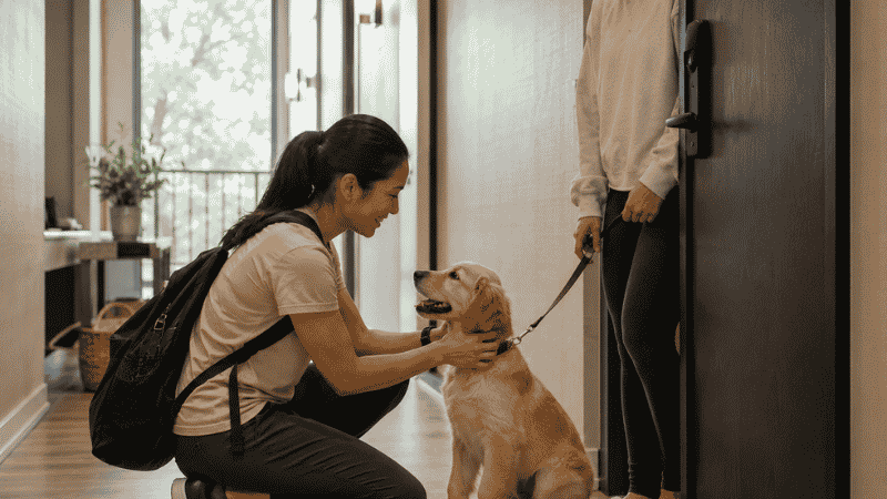 A dog walker arriving for a midday visit with a puppy as part of a working owner's separation anxiety management plan, showing one of the practical solutions for 9-to-5 owners managing puppy separation anxiety