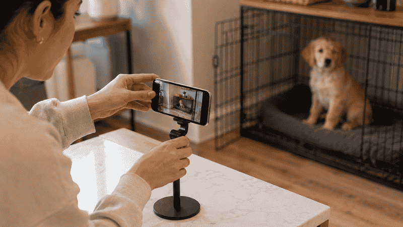 A dog owner setting up a phone camera to record their puppy's behavior while away, demonstrating the recording test method for diagnosing true puppy separation anxiety versus normal adjustment behavior