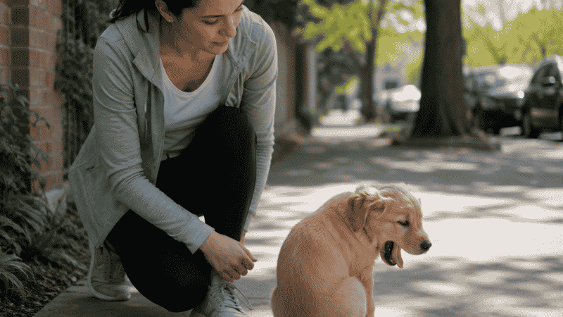 A puppy showing stress signals including pinned ears, tucked tail, and turning away during a socialization outing, with an attentive owner recognizing the signs and preparing to give the puppy space