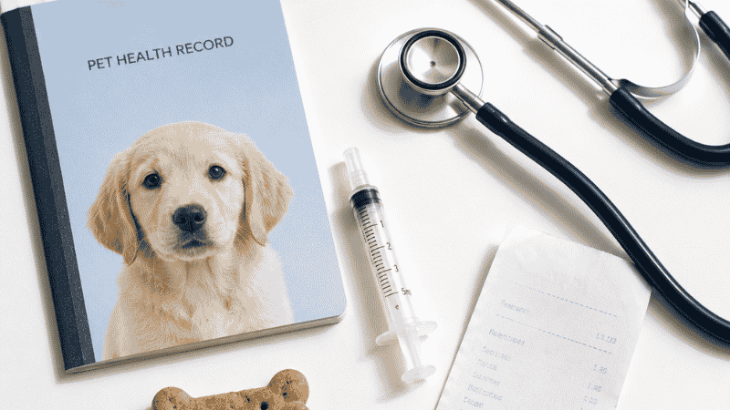 A flat lay of puppy health care items including a vaccination record booklet, stethoscope, and vet receipt representing the first-year puppy vaccination schedule costs