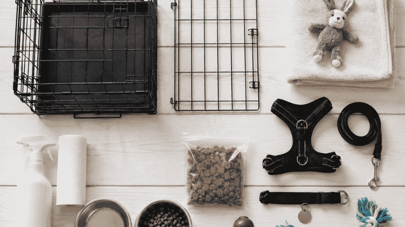 A flat lay of essential new puppy checklist items including a wire crate with divider, Y-shaped harness, flat collar with ID tag, stainless steel bowls, training treats, Kong toy, and enzymatic cleaner — everything to have ready before bringing a puppy home