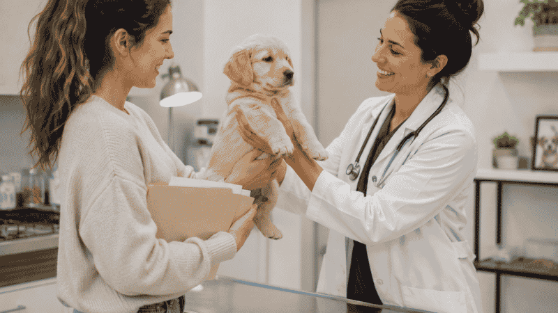 A first-time dog owner handing her new puppy to a veterinarian for the first vet visit within the first week home, with vaccination records in hand — one of the most important items on the new puppy checklist