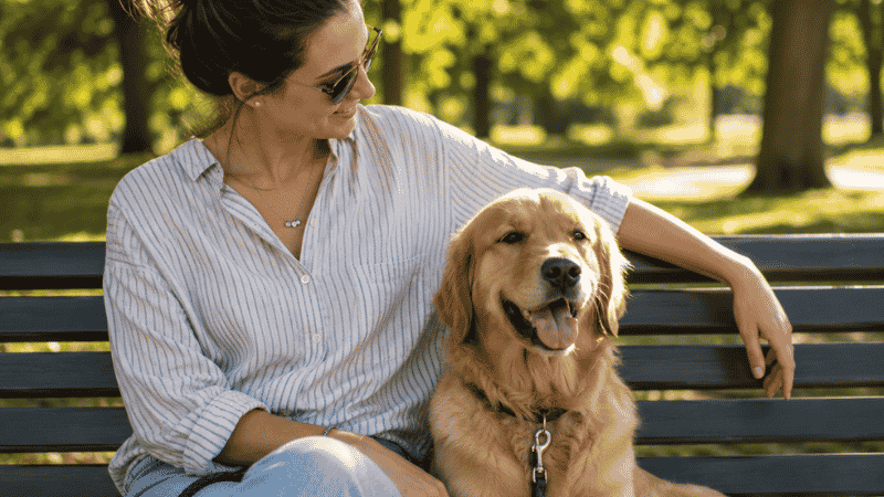A confident, fully developed two-year-old dog sitting calmly beside its owner on a park bench — representing the end result of successfully navigating all puppy development stages with consistent care, health management, and training