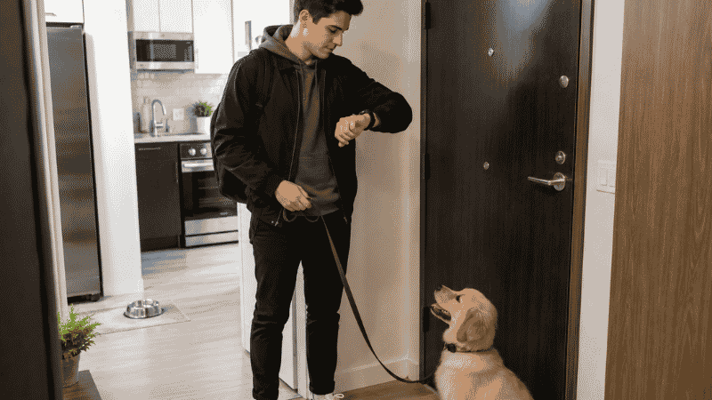 A dog owner checking his watch and preparing to take his puppy outside 15 minutes after feeding, showing how a consistent puppy feeding schedule directly supports potty training by creating predictable elimination windows