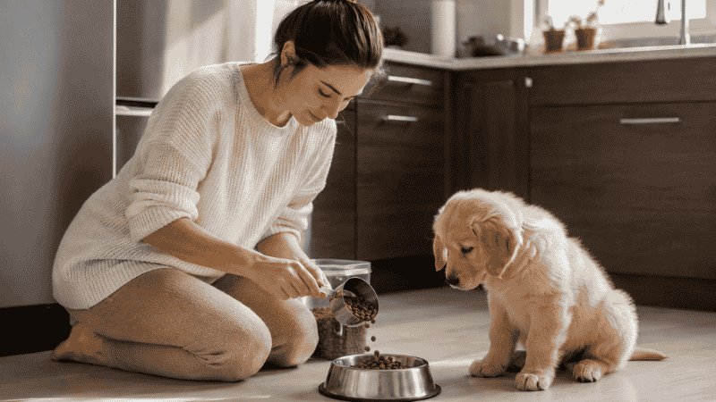 A dog owner carefully measuring puppy kibble into a stainless steel bowl while her puppy watches attentively, illustrating the importance of scheduled, measured meals when deciding how often to feed a puppy