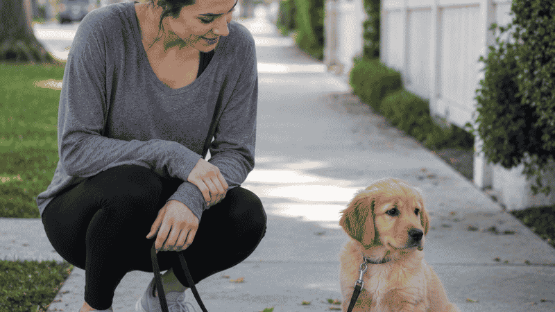 A dog owner crouching patiently beside a frozen, anxious puppy on a sidewalk without pulling or pressuring — showing the correct response to a puppy that freezes and refuses to walk during leash training due to fear or sensory overwhelm