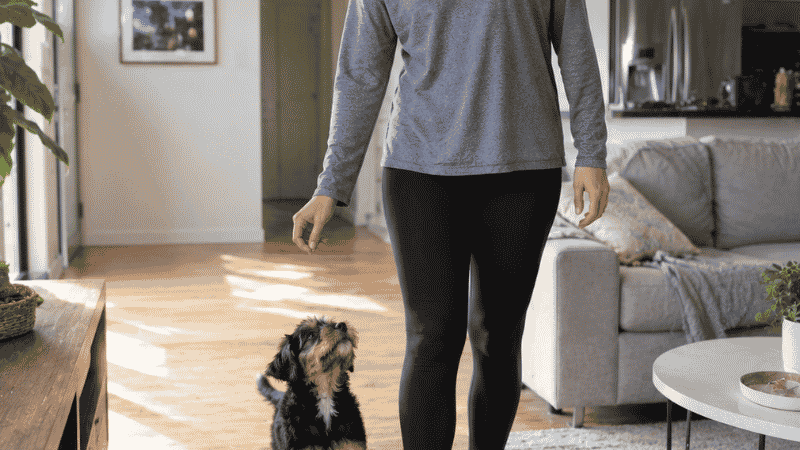 A dog owner dropping a treat directly at her feet while her puppy walks beside her indoors without a leash — showing the crucial first step of leash training that builds the habit of walking beside the owner before any equipment is introduced